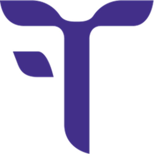 F.T.I. bv logo